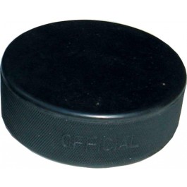 Eishockey Puck