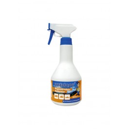 Regenstreifen-Entferner 500 ml